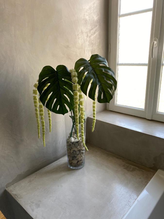 Le Logis Gout Appartement Carcassonne Buitenkant foto